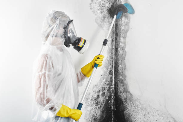 Best Indoor Air Quality Assessment  in North Pole, AK