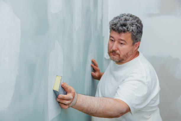 Best Mold Damage Restoration  in North Pole, AK