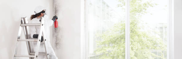 Best Environmental Consulting for Mold Prevention  in North Pole, AK
