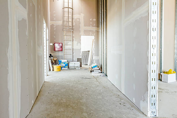 Best Mold Documentation for Insurance Claims  in North Pole, AK